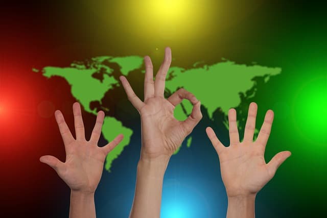 Polska Akcja Humanitarna (PAH): History, Mission, and Key Achievements
